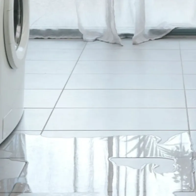 Appliance Leak Cleanup in Winlock, WA
