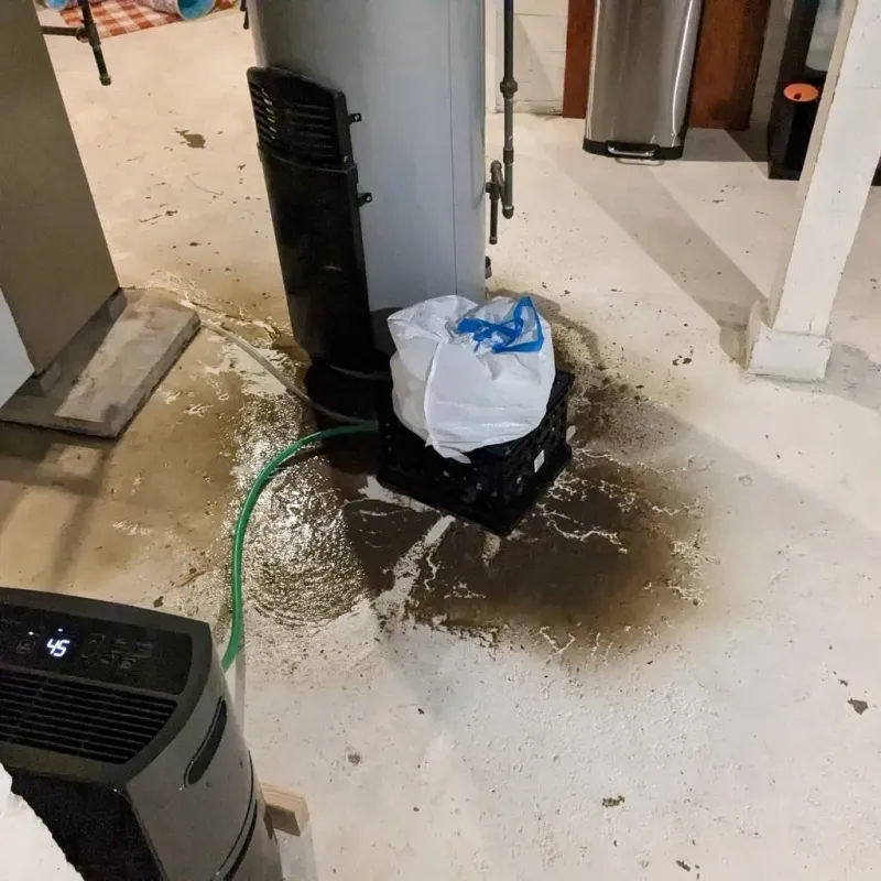 Sewage Backup Cleanup Service in Winlock, WA